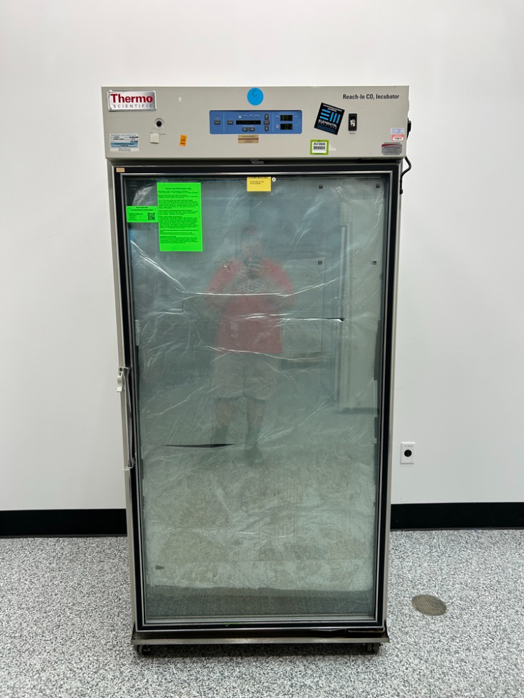 Image of Thermo Reach-In CO2 Incubator